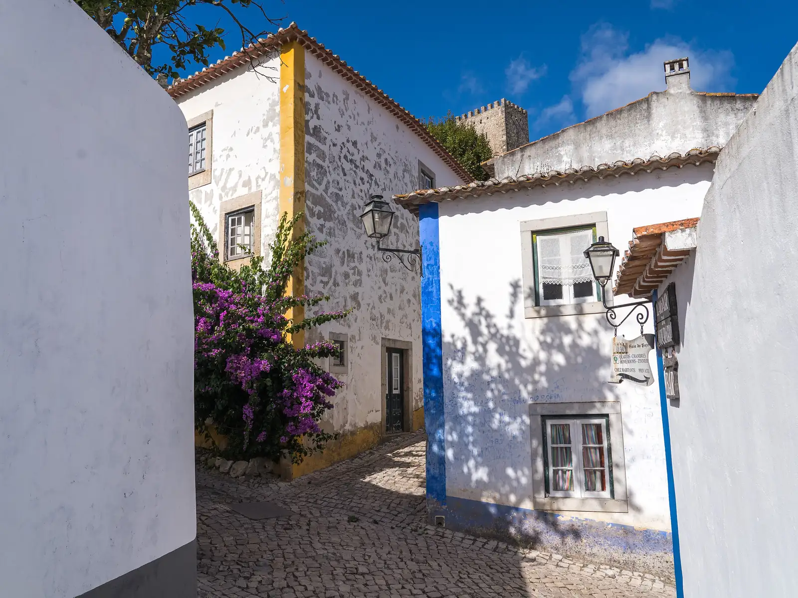 Vitkalkade hus och en kullerstensgränd i Óbidos, Portugal